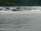 PICTURES/Sandstone Falls - New River Gorge/t_P1110666.JPG